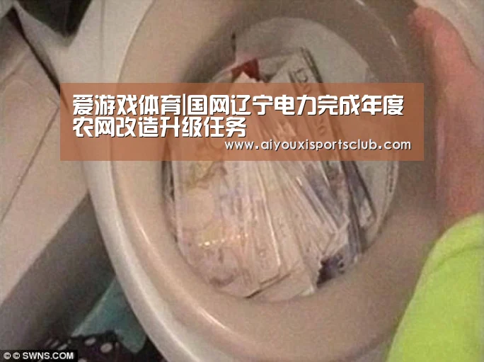 爱游戏官网