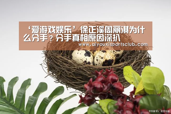 ‘爱游戏娱乐’徐正溪周丽淇为什么分手?分手真相原因深扒(图3) 爱游戏体育