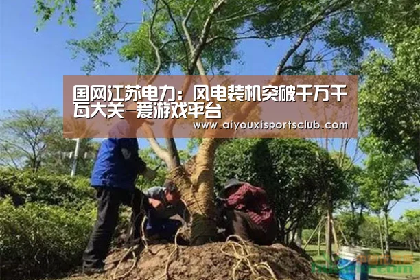 爱游戏娱乐