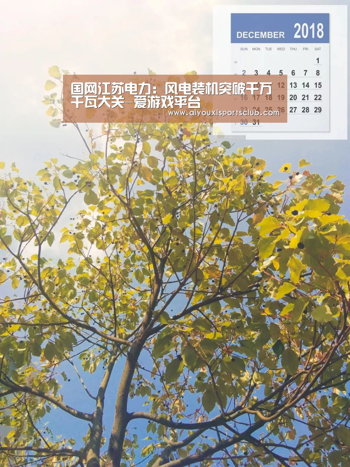 爱游戏娱乐