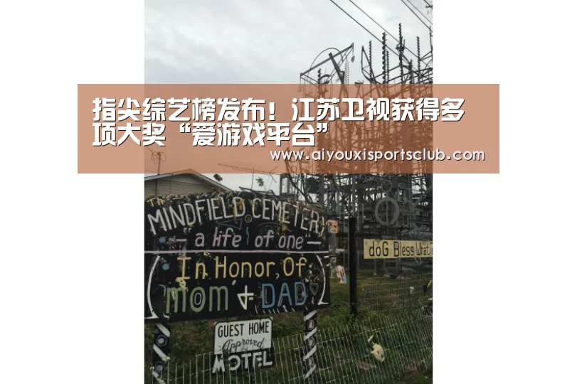 指尖综艺榜发布!江苏卫视获得多项大奖“爱游戏平台”(图1) 爱游戏体育