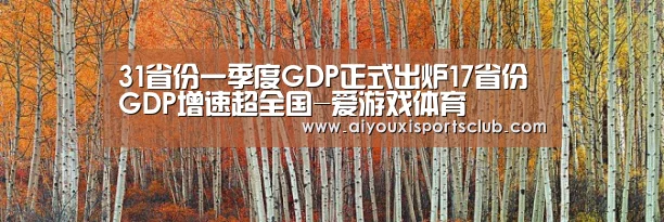 31省份一季度GDP正式出炉17省份GDP增速超全国-爱游戏体育(图2) 爱游戏平台