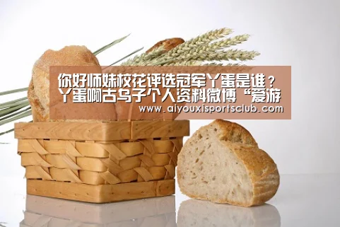 爱游戏娱乐