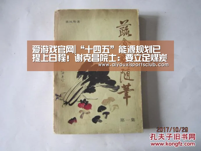 爱游戏官网|“十四五”能源规划已提上日程!谢克昌院士:要立足煤炭(图1) 爱游戏平台