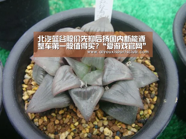 北汽蓝谷股价先抑后扬国内新能源整车第一股值得买?“爱游戏官网”(图2) 爱游戏娱乐