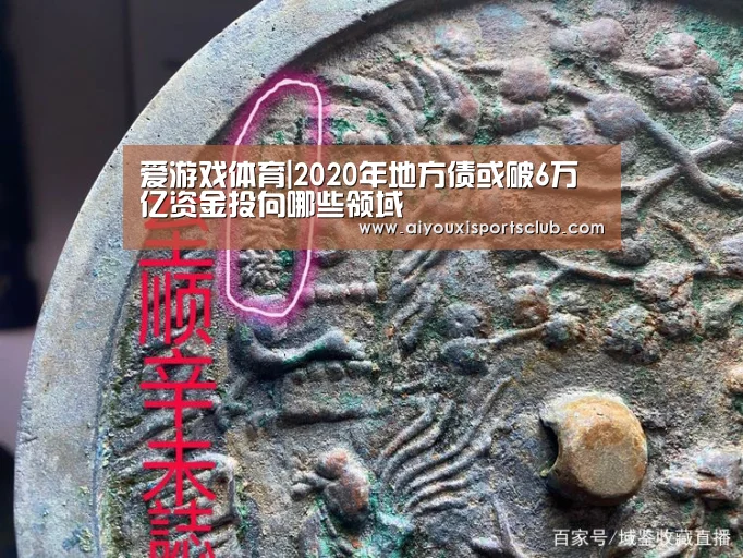 爱游戏体育|2020年地方债或破6万亿资金投向哪些领域(图1) 爱游戏体育