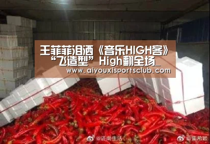 王菲菲泪洒《音乐HIGH客》 “飞造型”High翻全场_爱游戏体育(图1) 爱游戏体育