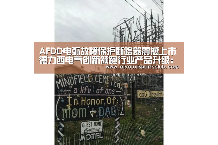 AFDD电弧故障保护断路器震撼上市德力西电气创新领跑行业产品升级:爱游戏平台(图1) 爱游戏官网