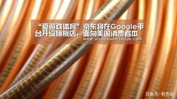 “爱游戏体育”京东将在Google平台开设旗舰店,面向美国消费者本地发货(图2) 爱游戏娱乐