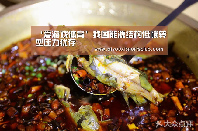 ‘爱游戏体育’我国能源结构低碳转型压力犹存(图1) 爱游戏官网