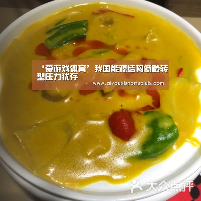 ‘爱游戏体育’我国能源结构低碳转型压力犹存(图2) 爱游戏娱乐
