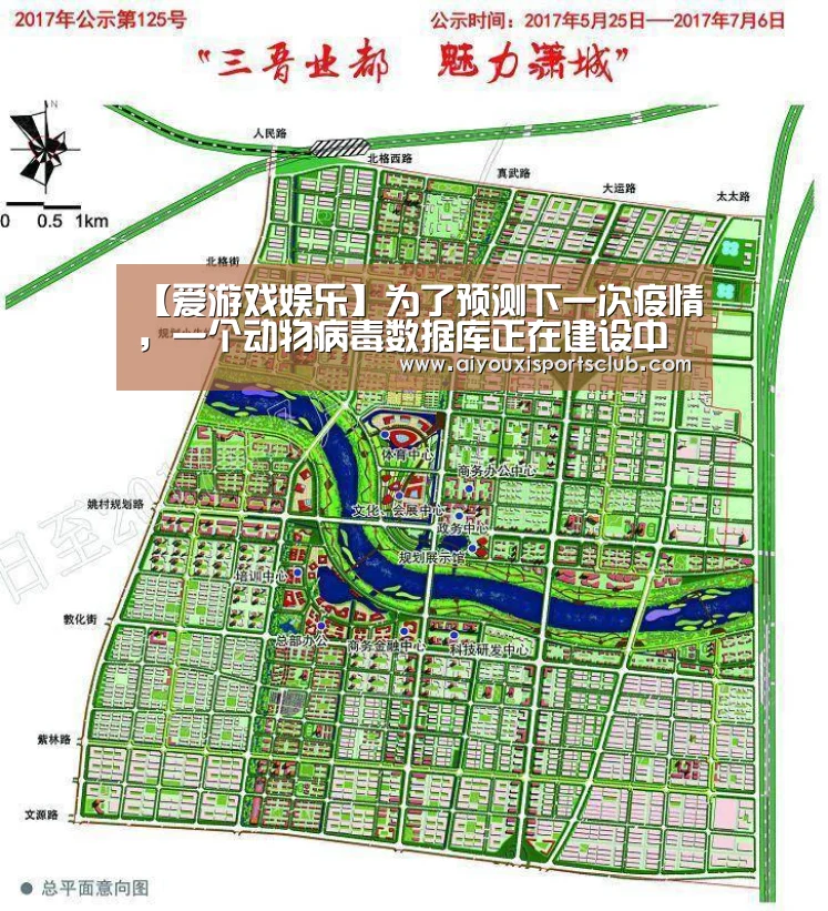 爱游戏体育