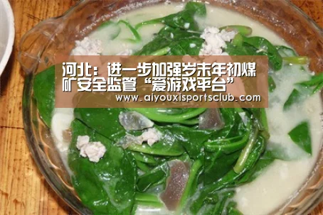 河北:进一步加强岁末年初煤矿安全监管“爱游戏平台”(图1) 爱游戏体育